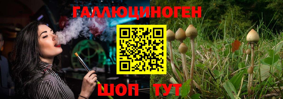 Галлюциногенные грибы Cubensis Обнинск