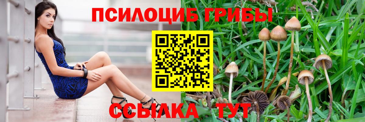 Обнинск  Псилоцибиновые грибы ЛСД  Псилоцибиновые грибы Magic Shrooms  Вход с VPN 